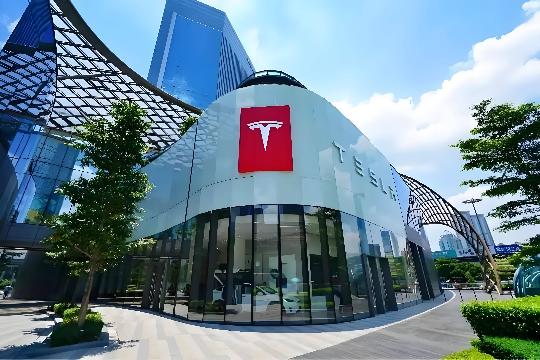 Tesla, Inc. (Top 10 Most Valuable Companies Globally)