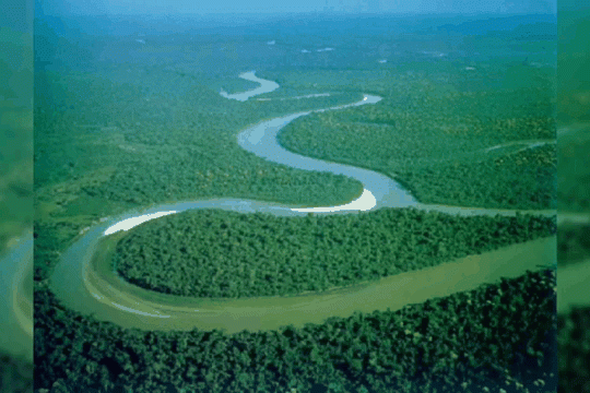 Amazon Rainforest (Top 10 Most Unique Ecosystems)