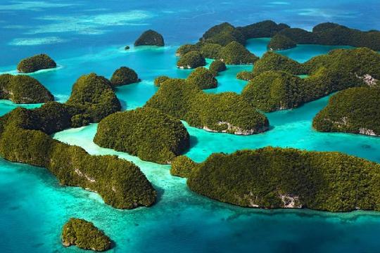 Galápagos Islands (Top 10 Most Unique Ecosystems)