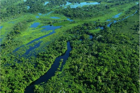 Pantanal Wetlands (Top 10 Most Unique Ecosystems)