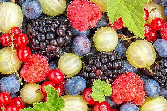 Berries (e.g., Blueberries, Strawberries, Raspberries) (Top 10 Superfoods for a Healthy Life)