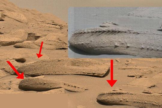 Potential Fossilized Microbial Mats (Top 10 Mars Life Evidence)