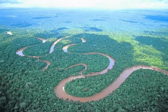 Amazon River (Top 10 Longest Rivers in the World)