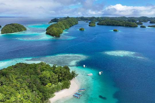 Palau Coral Reefs, Palau (Top 10 Most Beautiful Coral Reefs)
