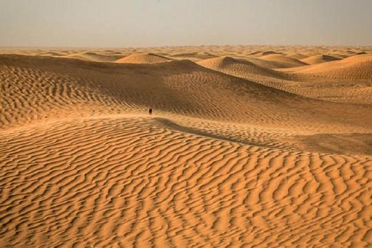 Arabian Desert (Top 10 Harshest Deserts on Earth)
