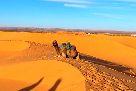 Sahara Desert (Top 10 Harshest Deserts on Earth)