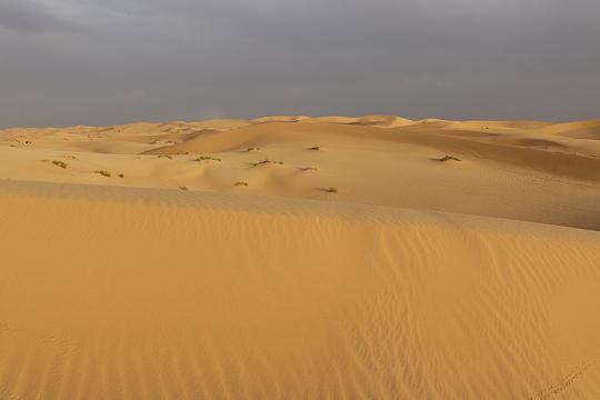 Gobi Desert (Top 10 Harshest Deserts on Earth)
