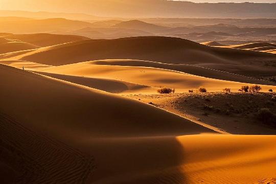 Great Basin Desert (Top 10 Harshest Deserts on Earth)