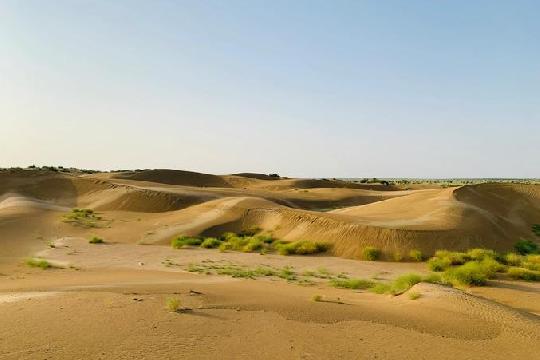 Thar Desert (Top 10 Harshest Deserts on Earth)