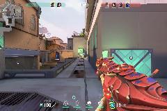 Image not found